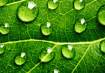 防水企業(yè)家必看：大數(shù)據(jù)時(shí)代來(lái)臨，防水行業(yè)會(huì)有哪些改變v